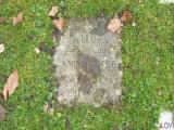 image number Mellors Henry George 371